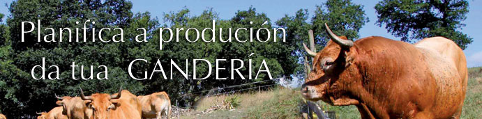 Planifica a produci&oacute;n da t&uacute;a gander&iacute;a