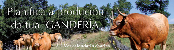 Planifica a produci&oacute;n da t&uacute;a gander&iacute;a