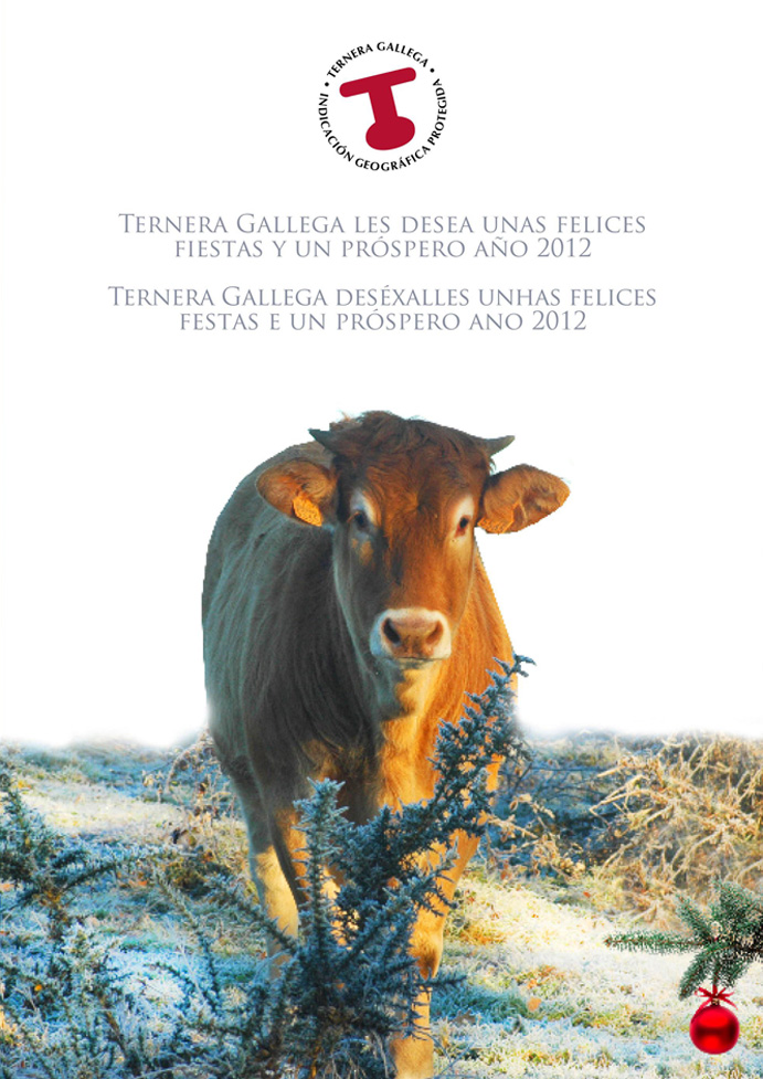 Ternera Gallega