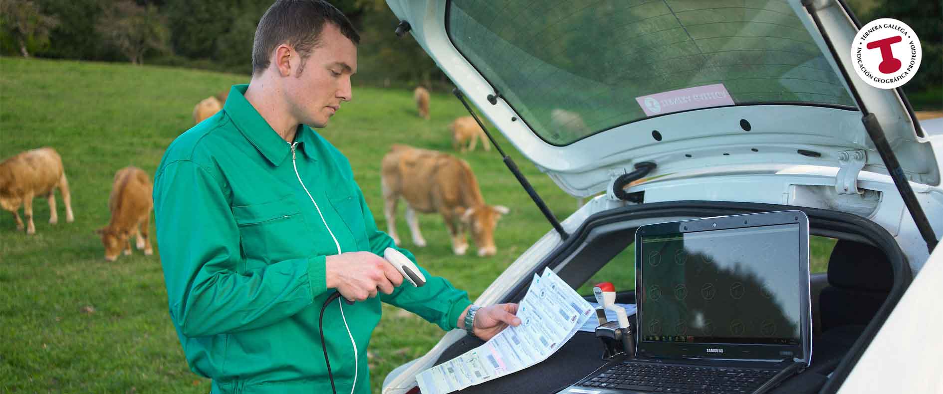 Primera imagen del slider ternera gallega