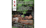 Noticias Ternera Gallega : Nova edici&oacute;n da revista do Consello Regulador