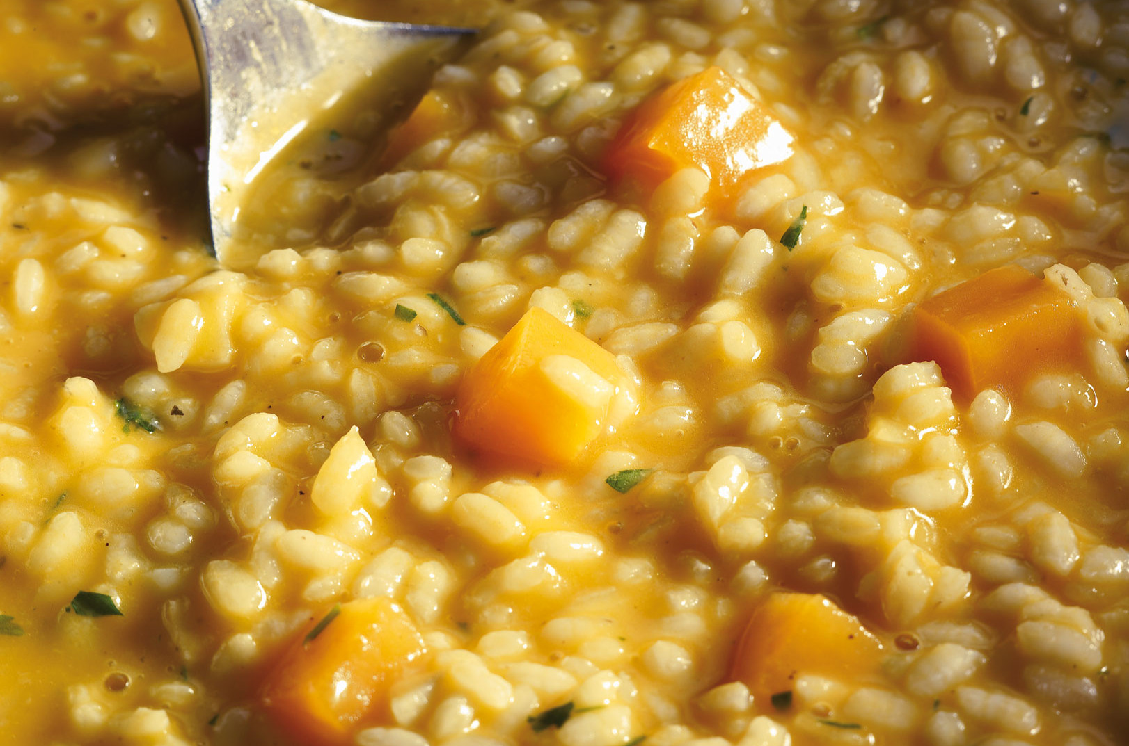 Receta Ternera Gallega OSOBUCO DE TERNERA GALLEGA AL GODELLO CON ARROZ CREMOSO DE CALABAZA 003