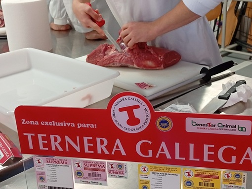 Ternera Gallega formación