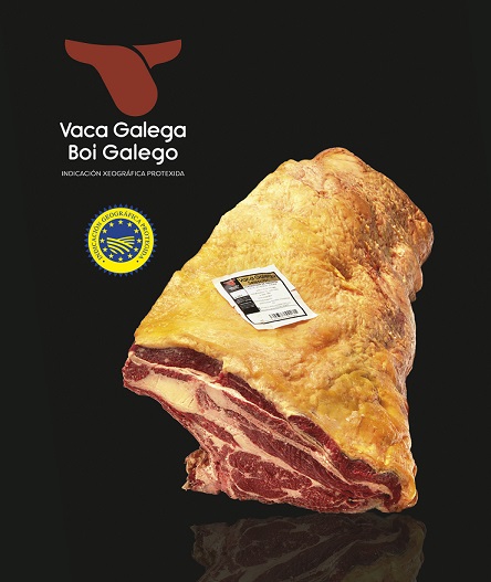 Vaca Galega / Boi Galego