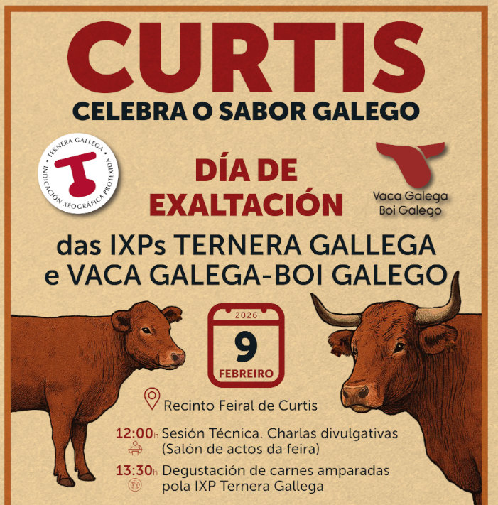 Ternera Gallega Curtis