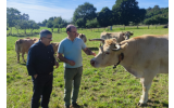 Noticias Ternera Gallega : Casa V&aacute;zquez, a gander&iacute;a de Ternera Gallega Suprema Ecol&oacute;xica que impulsa o MUVICLA